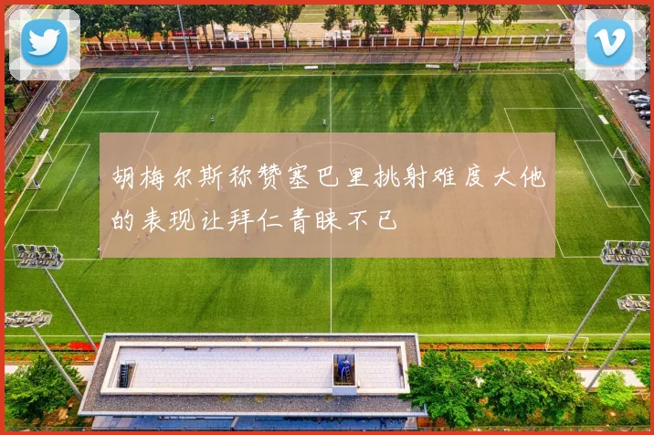 胡梅尔斯称赞塞巴里挑射难度大他的表现让拜仁青睐不已