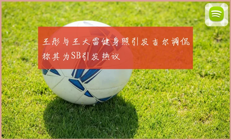 王彤与王大雷健身照引发吉尔调侃称其为SB引发热议